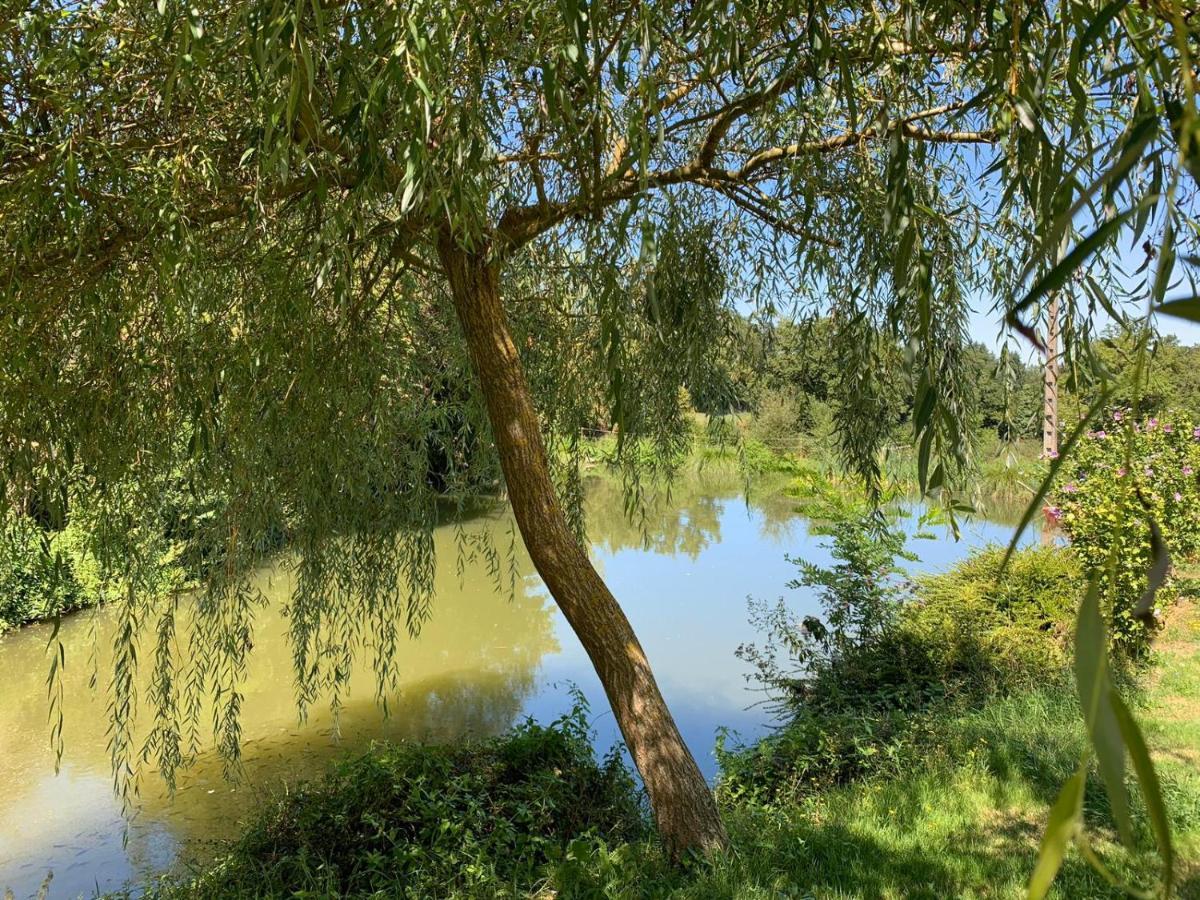 La Maison Rouzies La Bastide-l'Eveque ภายนอก รูปภาพ